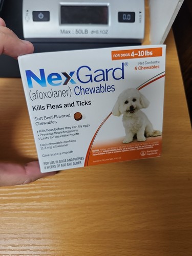 Flea tick prevention - tick,